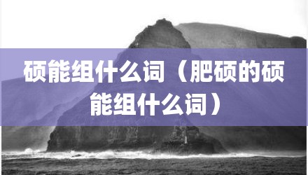 硕能组什么词（肥硕的硕能组什么词）