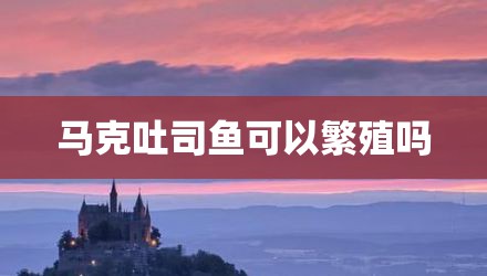 马克吐司鱼可以繁殖吗