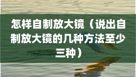 怎样自制放大镜（说出自制放大镜的几种方法至少三种）