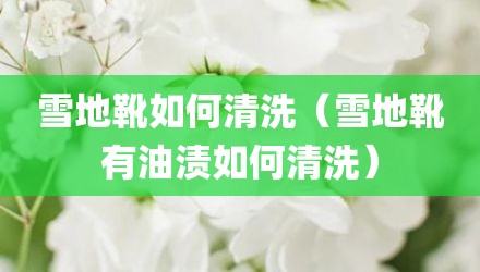 雪地靴如何清洗（雪地靴有油渍如何清洗）