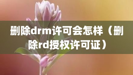 删除drm许可会怎样（删除rd授权许可证）