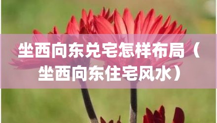 坐西向东兑宅怎样布局(坐西向东住宅风水)
