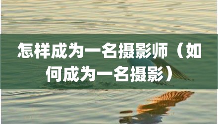 怎样成为一名摄影师（如何成为一名摄影）