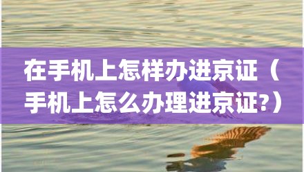 在手机上怎样办进京证（手机上怎么办理进京证?）