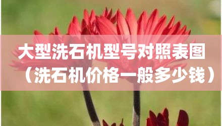 大型洗石机型号对照表图（洗石机价格一般多少钱）