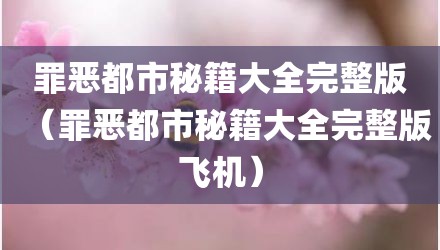 罪恶都市秘籍大全完整版（罪恶都市秘籍大全完整版飞机）