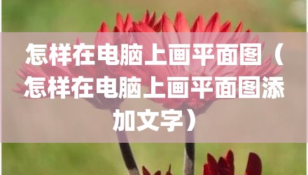 怎样在电脑上画平面图（怎样在电脑上画平面图添加文字）