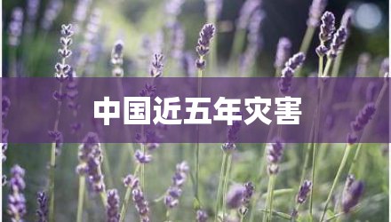 中国近五年灾害
