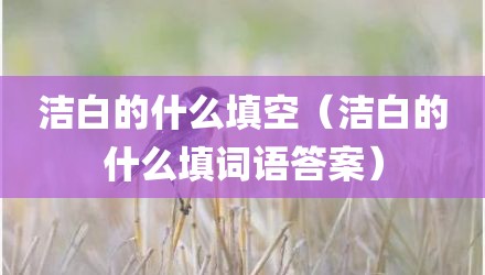 洁白的什么填空（洁白的什么填词语答案）