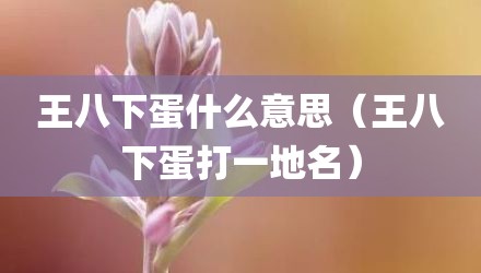 王八下蛋什么意思（王八下蛋打一地名）