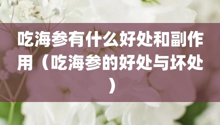 吃海参有什么好处和副作用（吃海参的好处与坏处）