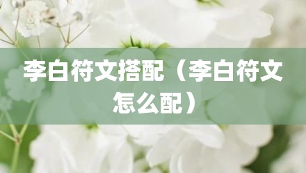 李白符文搭配（李白符文怎么配）