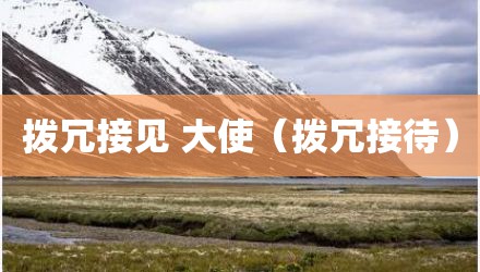拨冗接见 大使（拨冗接待）