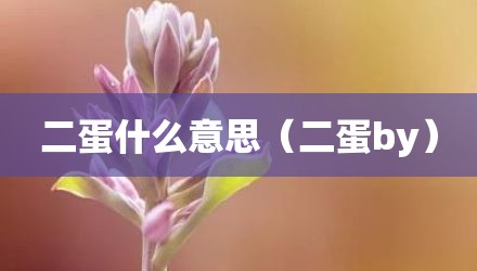 二蛋什么意思（二蛋by）
