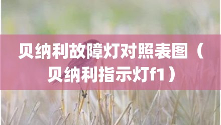 贝纳利故障灯对照表图（贝纳利指示灯f1）