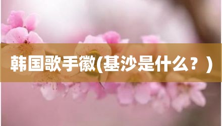 韩国歌手徽(基沙是什么？)
