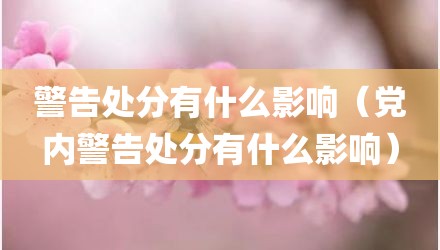 警告处分有什么影响(党内警告处分有什么影响)