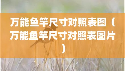 万能鱼竿尺寸对照表图（万能鱼竿尺寸对照表图片）