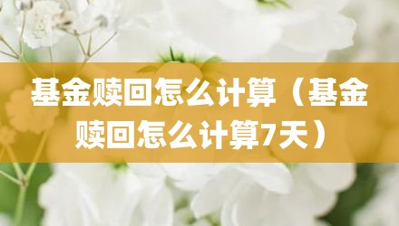 基金赎回怎么计算（基金赎回怎么计算7天）