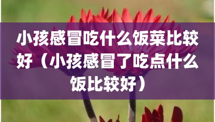 小孩感冒吃什么饭菜比较好（小孩感冒了吃点什么饭比较好）