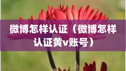 微博怎样认证（微博怎样认证黄v账号）