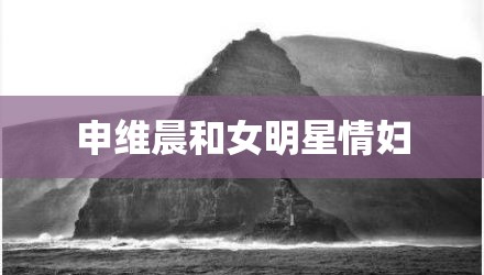 申维晨和女明星情妇
