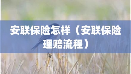 安联保险怎样（安联保险理赔流程）