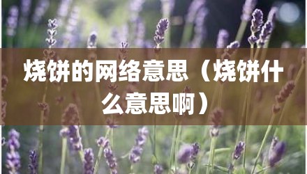 烧饼的网络意思(烧饼什么意思啊)