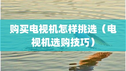 购买电视机怎样挑选(电视机选购技巧)