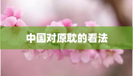 中国对原耽的看法