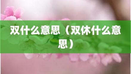 双什么意思（双休什么意思）