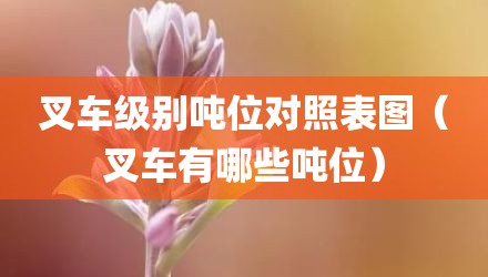 叉车级别吨位对照表图(叉车有哪些吨位)