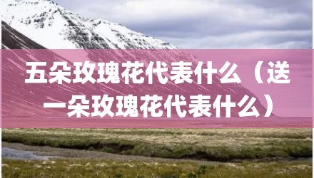 五朵玫瑰花代表什么（送一朵玫瑰花代表什么）