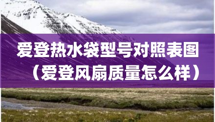 爱登热水袋型号对照表图(爱登风扇质量怎么样)
