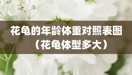 花龟的年龄体重对照表图（花龟体型多大）