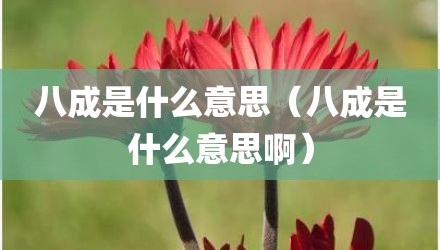 八成是什么意思（八成是什么意思啊）