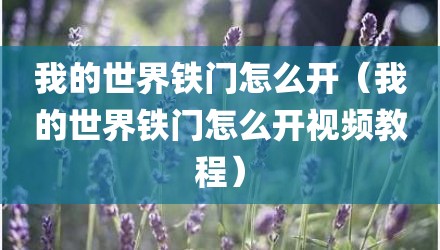 我的世界铁门怎么开（我的世界铁门怎么开视频教程）