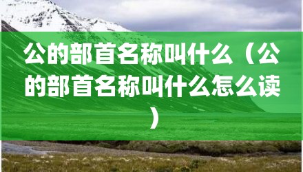 公的部首名称叫什么(公的部首名称叫什么怎么读)