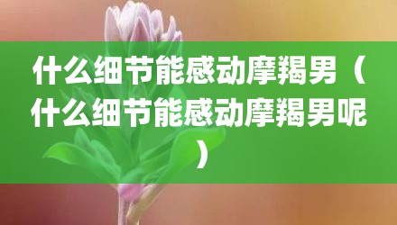 什么细节能感动摩羯男（什么细节能感动摩羯男呢）