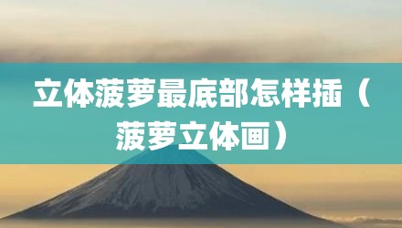 立体菠萝最底部怎样插（菠萝立体画）
