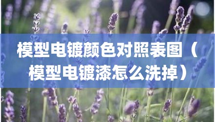 模型电镀颜色对照表图（模型电镀漆怎么洗掉）