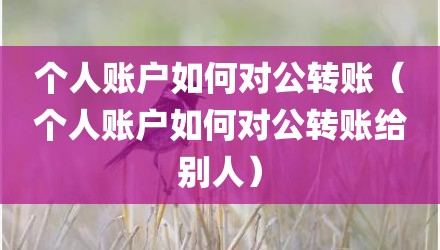 个人账户如何对公转账（个人账户如何对公转账给别人）