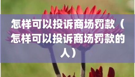 怎样可以投诉商场罚款（怎样可以投诉商场罚款的人）