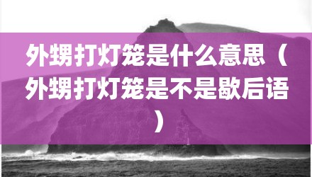 外甥打灯笼是什么意思（外甥打灯笼是不是歇后语）