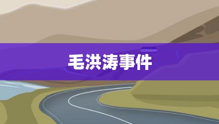 毛洪涛事件