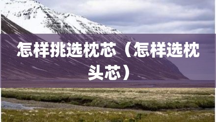 怎样挑选枕芯（怎样选枕头芯）