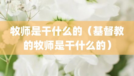 牧师是干什么的（基督教的牧师是干什么的）
