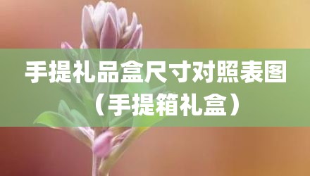 手提礼品盒尺寸对照表图（手提箱礼盒）