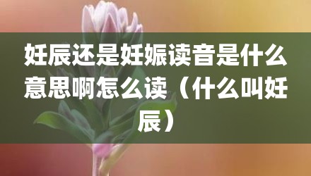 妊辰还是妊娠读音是什么意思啊怎么读(什么叫妊辰)
