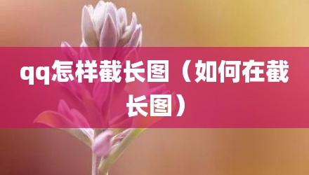 qq怎样截长图（如何在截长图）